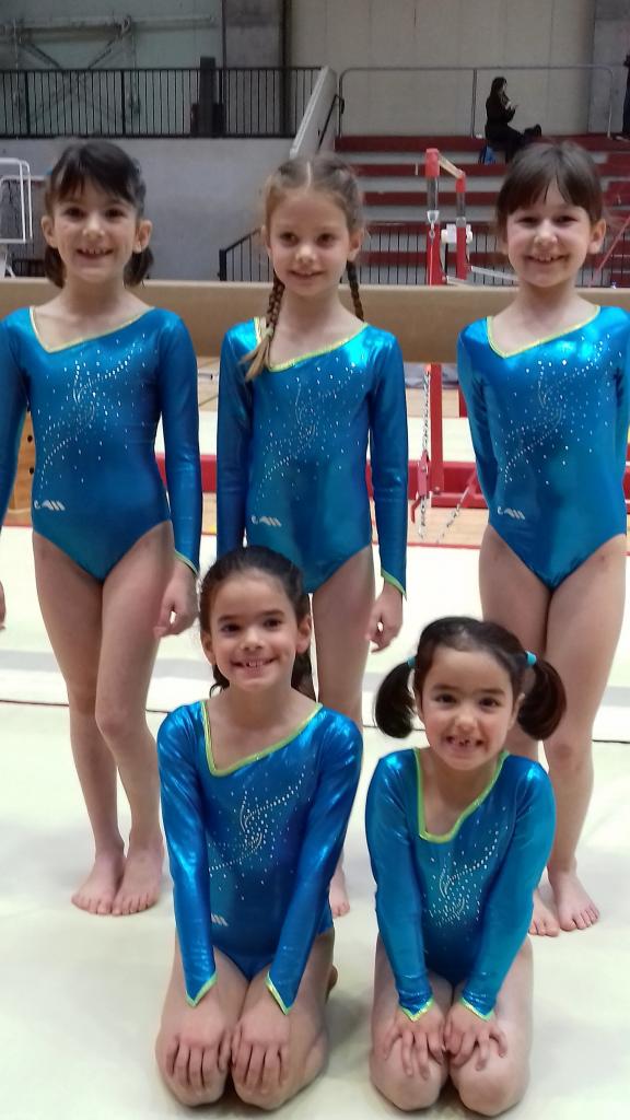 Poussines 2017