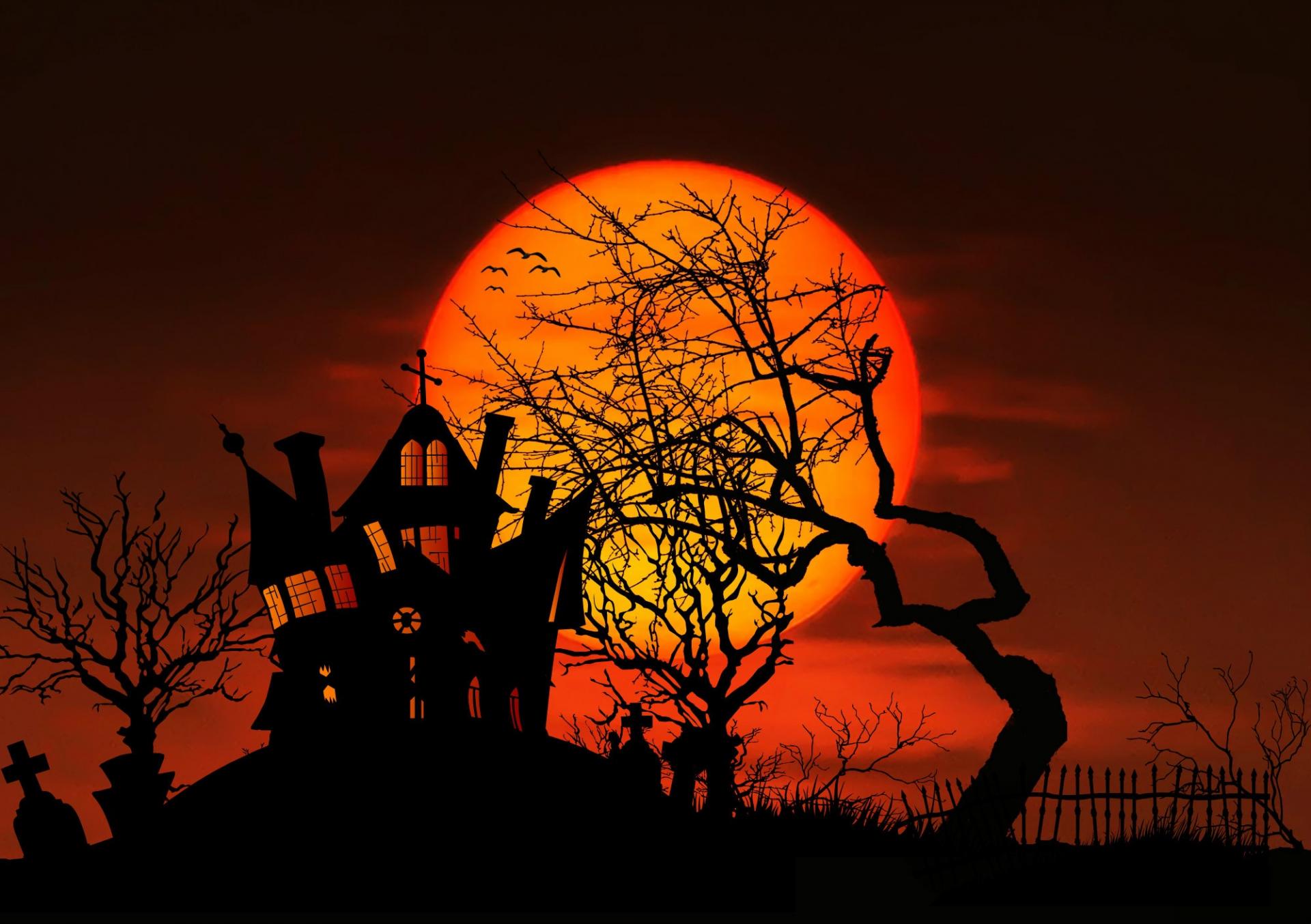 Tree silhouette fence sky sunrise sunset 744076 pxhere com